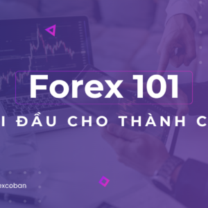 Lv1 – Forex 101: Khởi Đầu Cho Thành Công