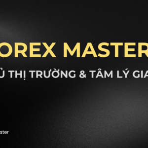 Lv 3 - Forex Mastery: Làm Chủ Thị Trường và Tâm Lý Giao Dịch