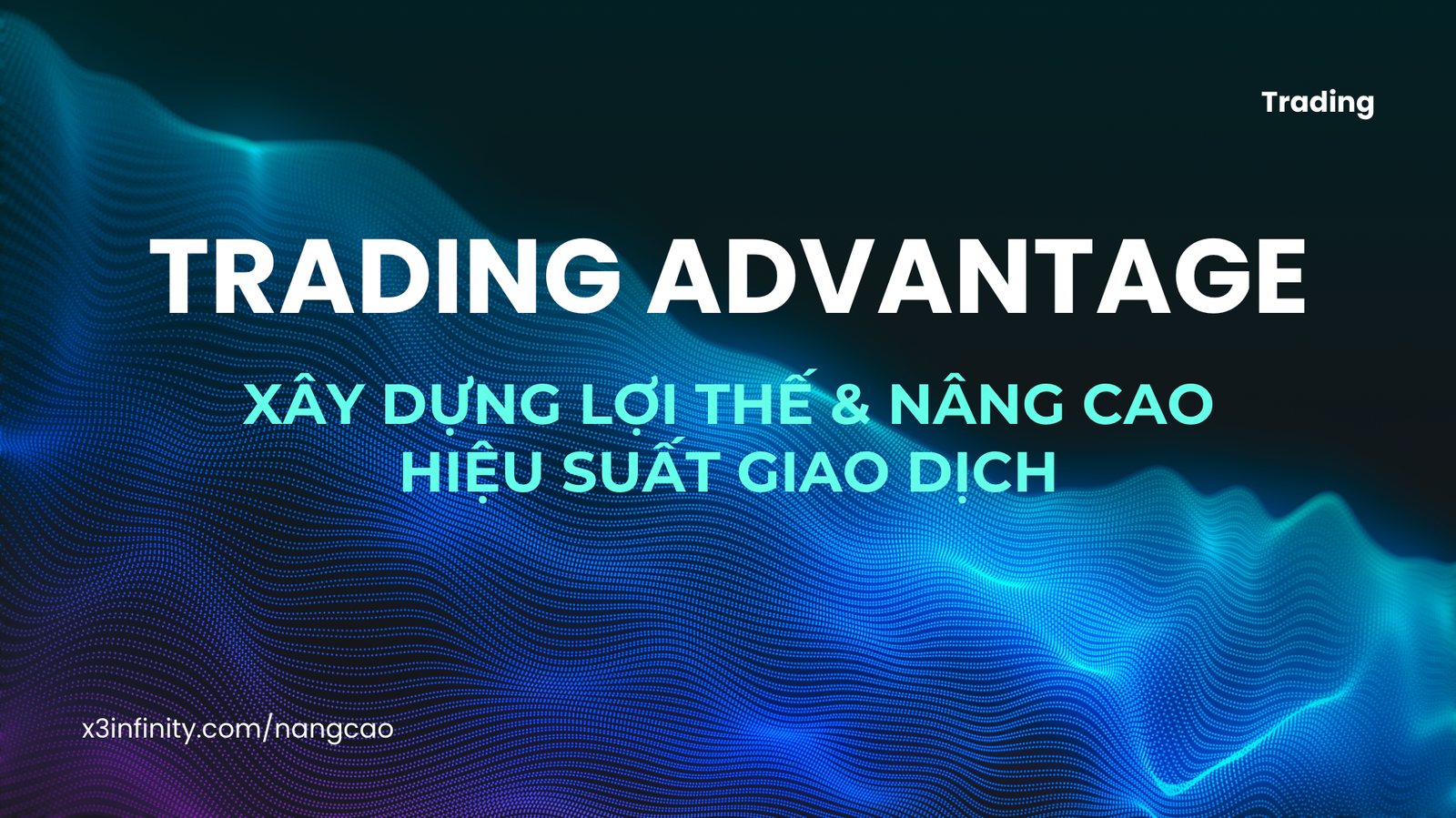 LV2 - Trading Advantage: Tối Ưu Hoá Hiệu Suất
